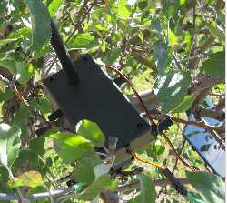 Leaf Sensor - Wireless Solar Remote Node
